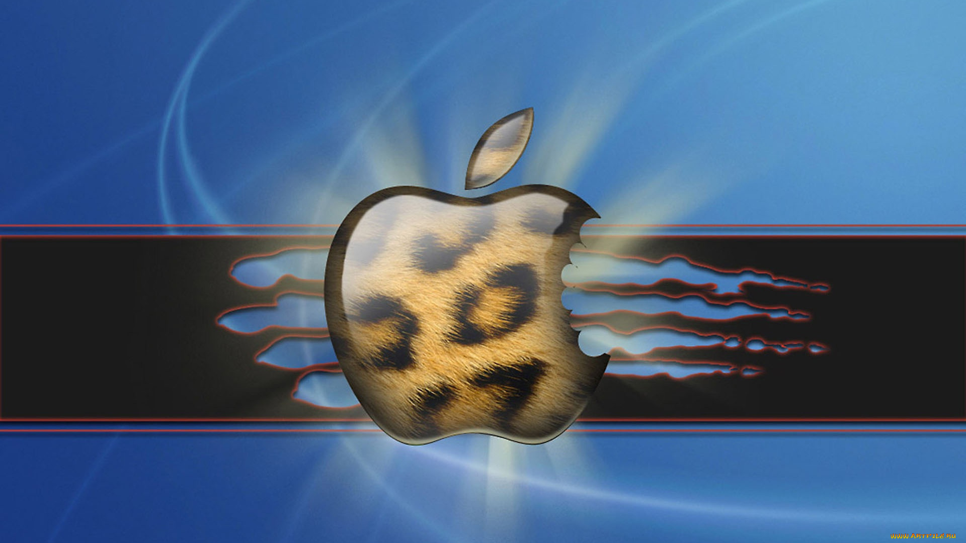компьютеры, apple