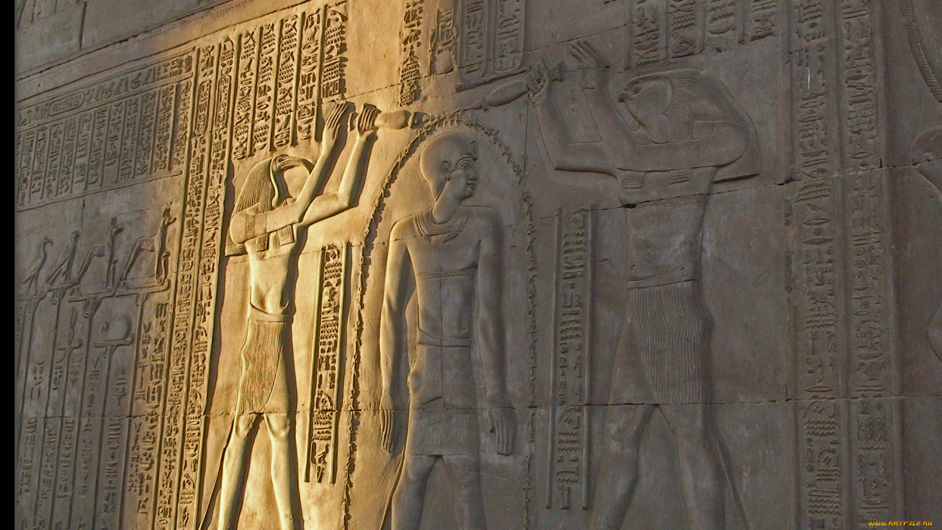 разное, рельефы, статуи, музейные, экспонаты, древний, египет