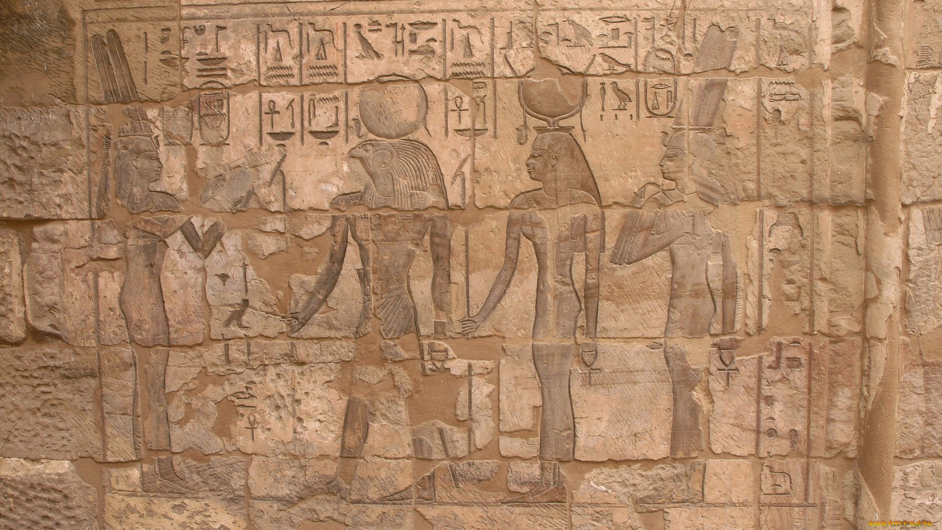 разное, рельефы, статуи, музейные, экспонаты, древний, египет