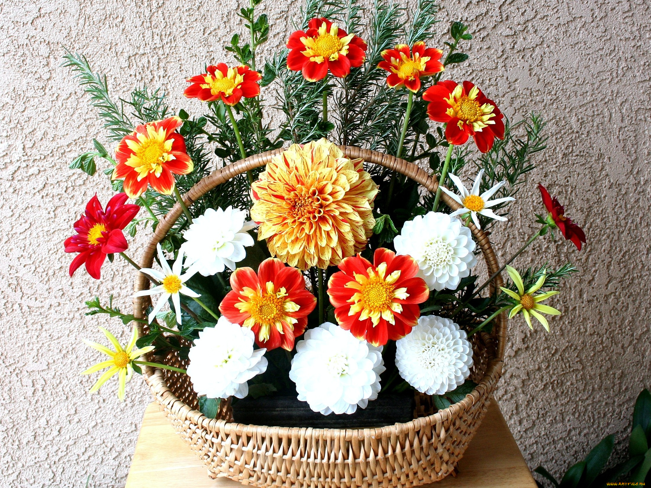 цветы, георгины, композиция, корзина