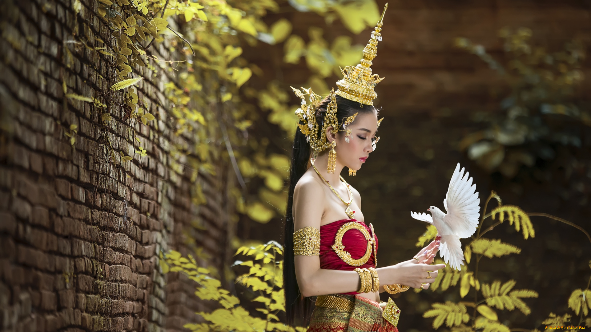 девушки, -unsort, , азиатки, тайка, голубь