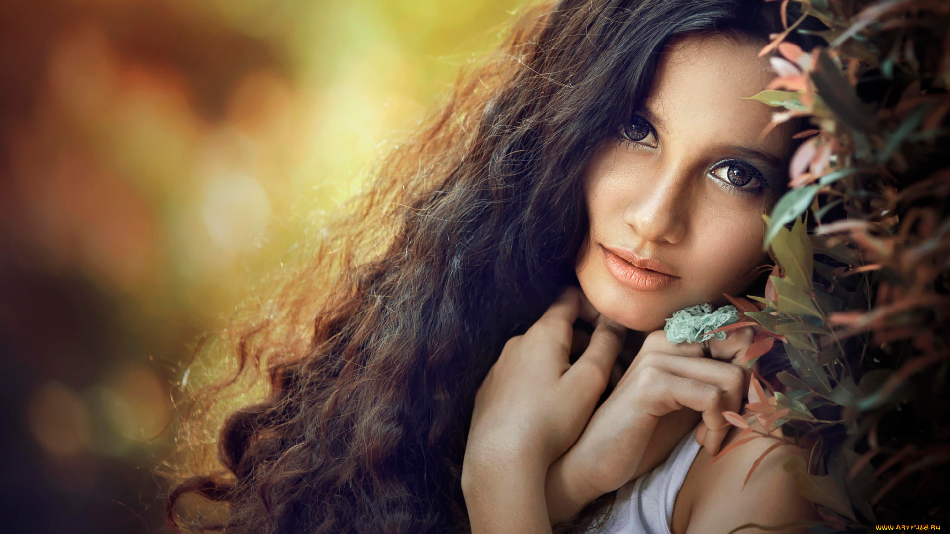 девушки, -unsort, , лица, , портреты, волосы, взгляд, портрет