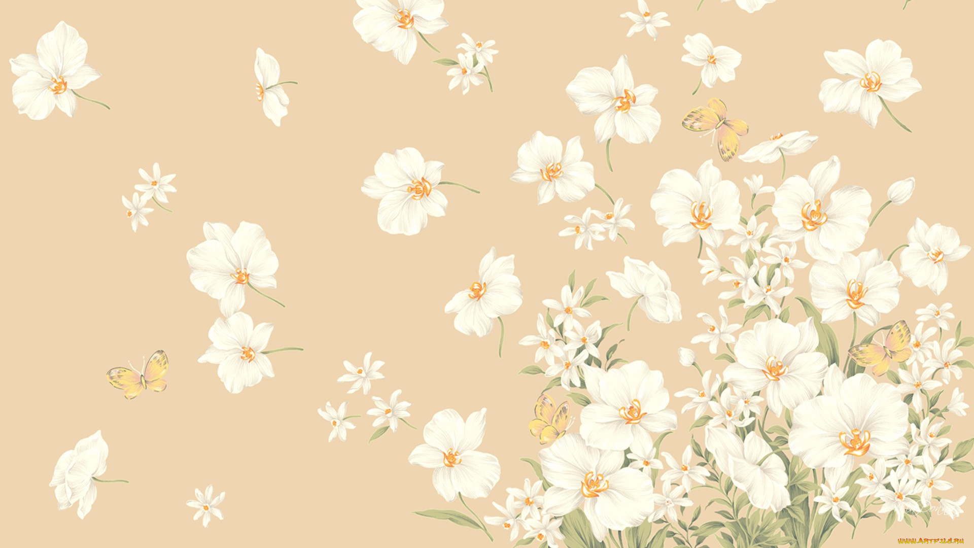 векторная, графика, цветы, бабочка, фон