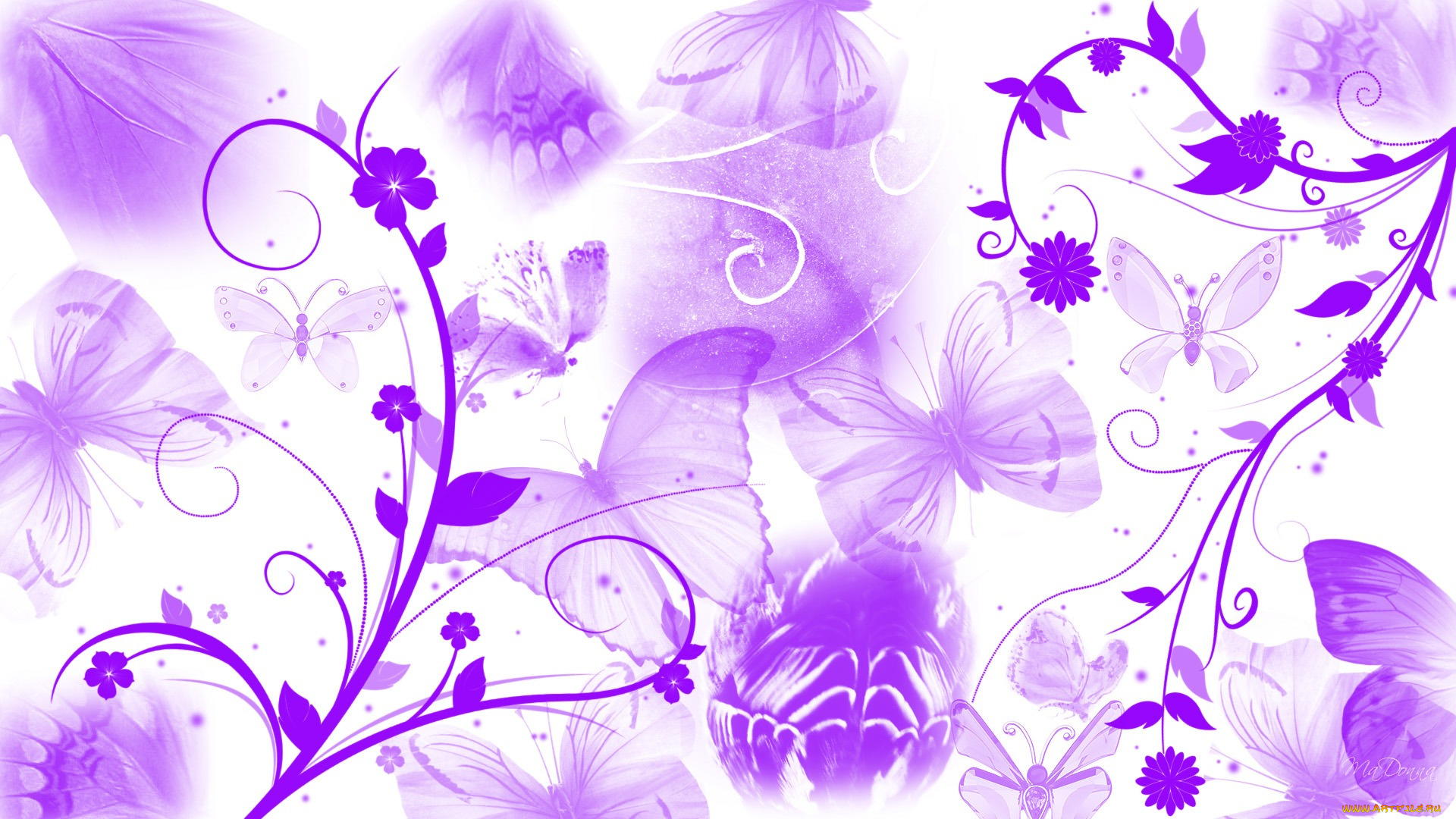 векторная, графика, цветы, бабочки