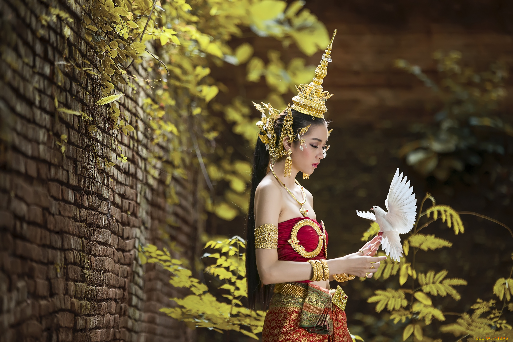 девушки, -unsort, , азиатки, тайка, голубь