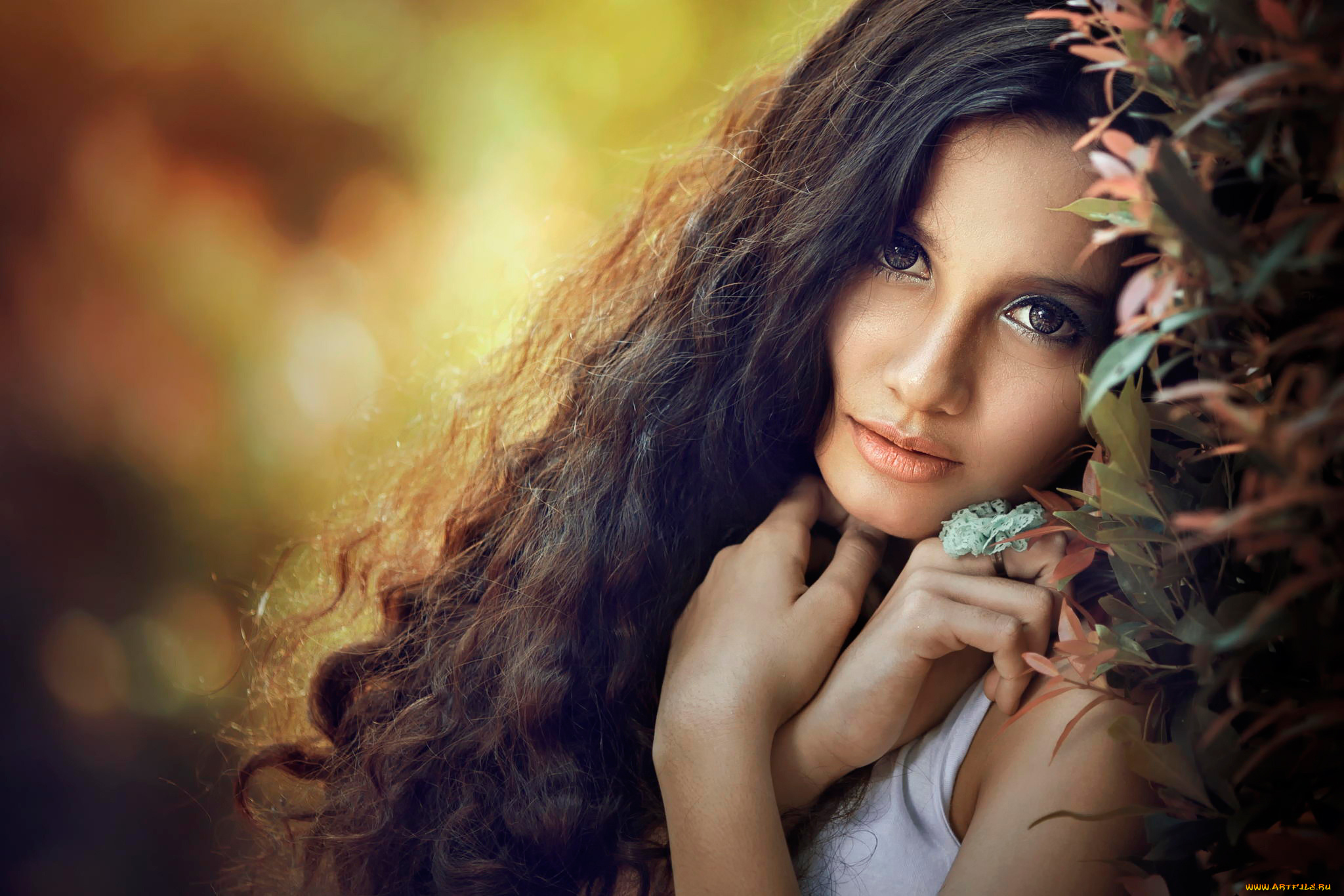 девушки, -unsort, , лица, , портреты, волосы, взгляд, портрет