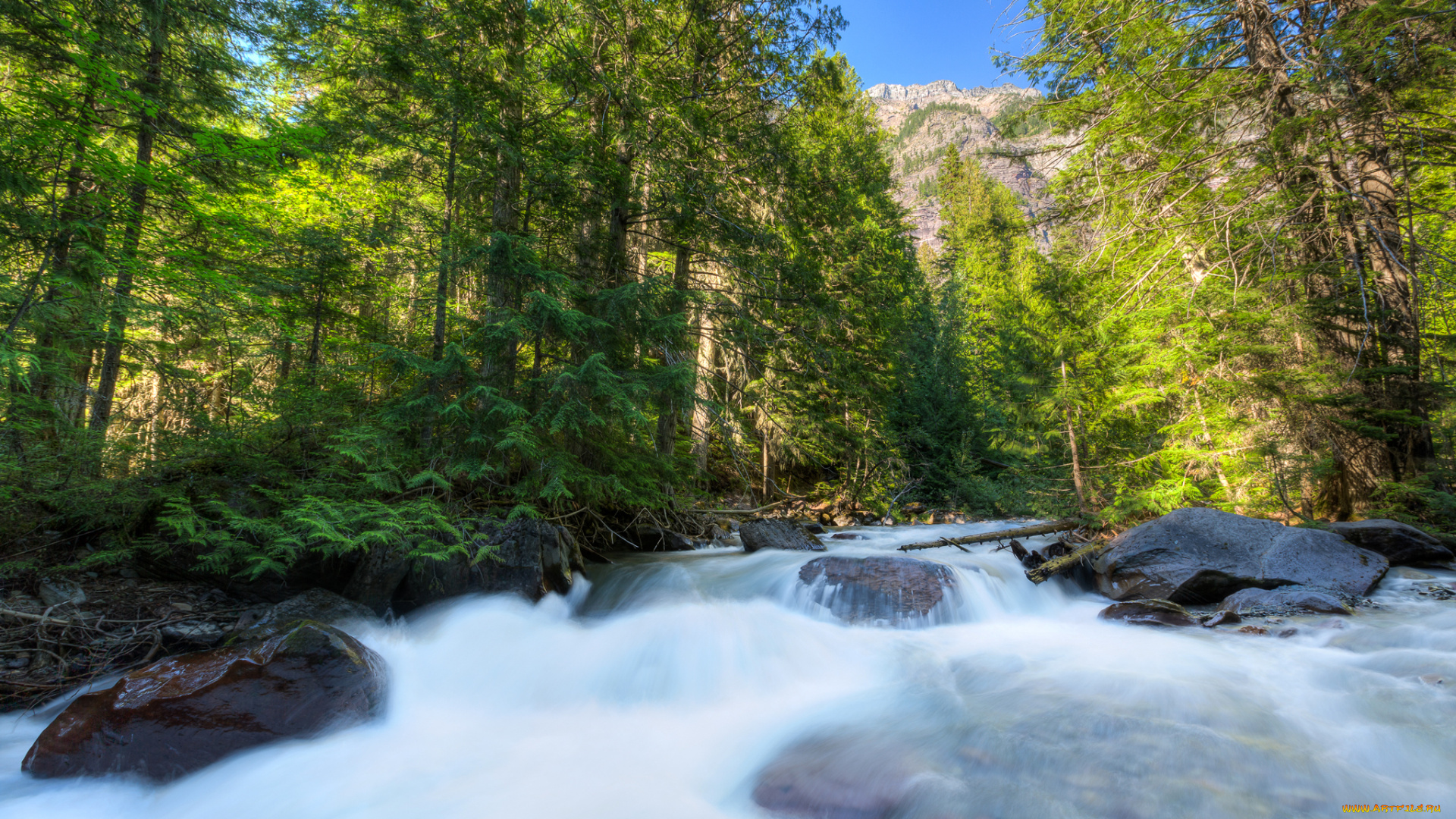 природа, реки, озера, montana, сша, glacier, national, park, камни, поток, лес, река, деревья, горы, небо