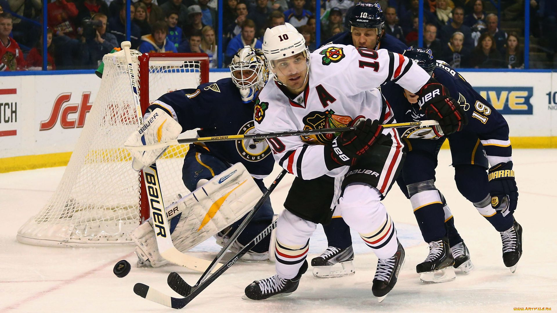 спорт, nhl, хоккей, арена