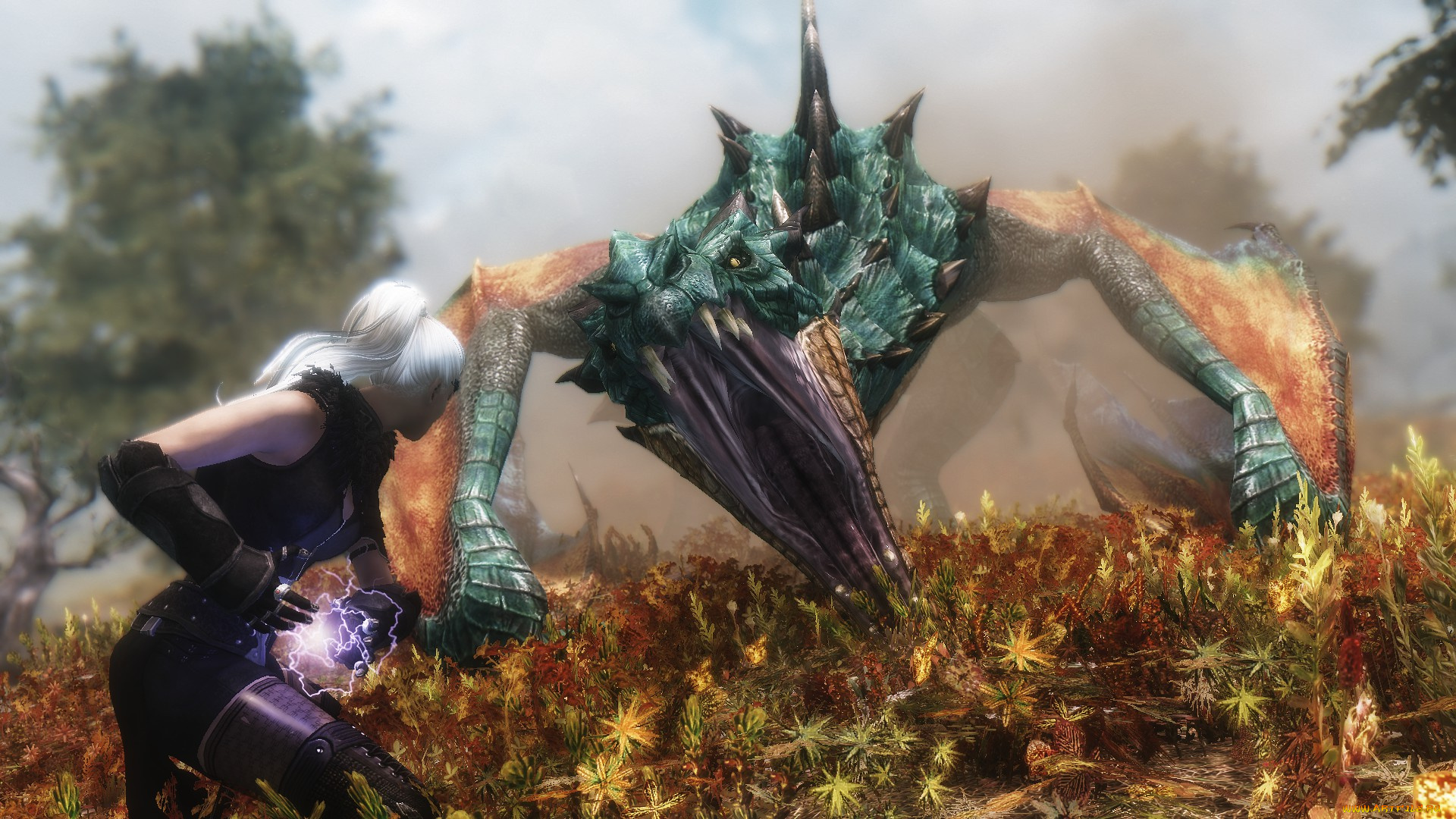 видео, игры, the, elder, scrolls, v, , skyrim, девушка, взгляд, фон, оружие, дракон