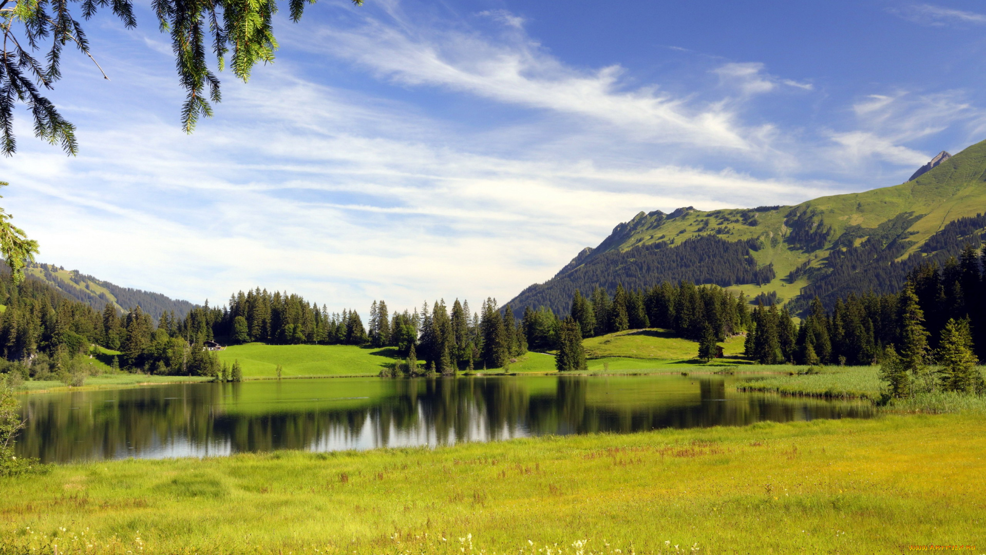 природа, реки, озера, деревья, луг, река, горы