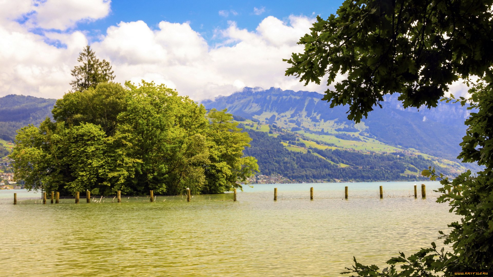 природа, реки, озера, деревья, река, вода, горы