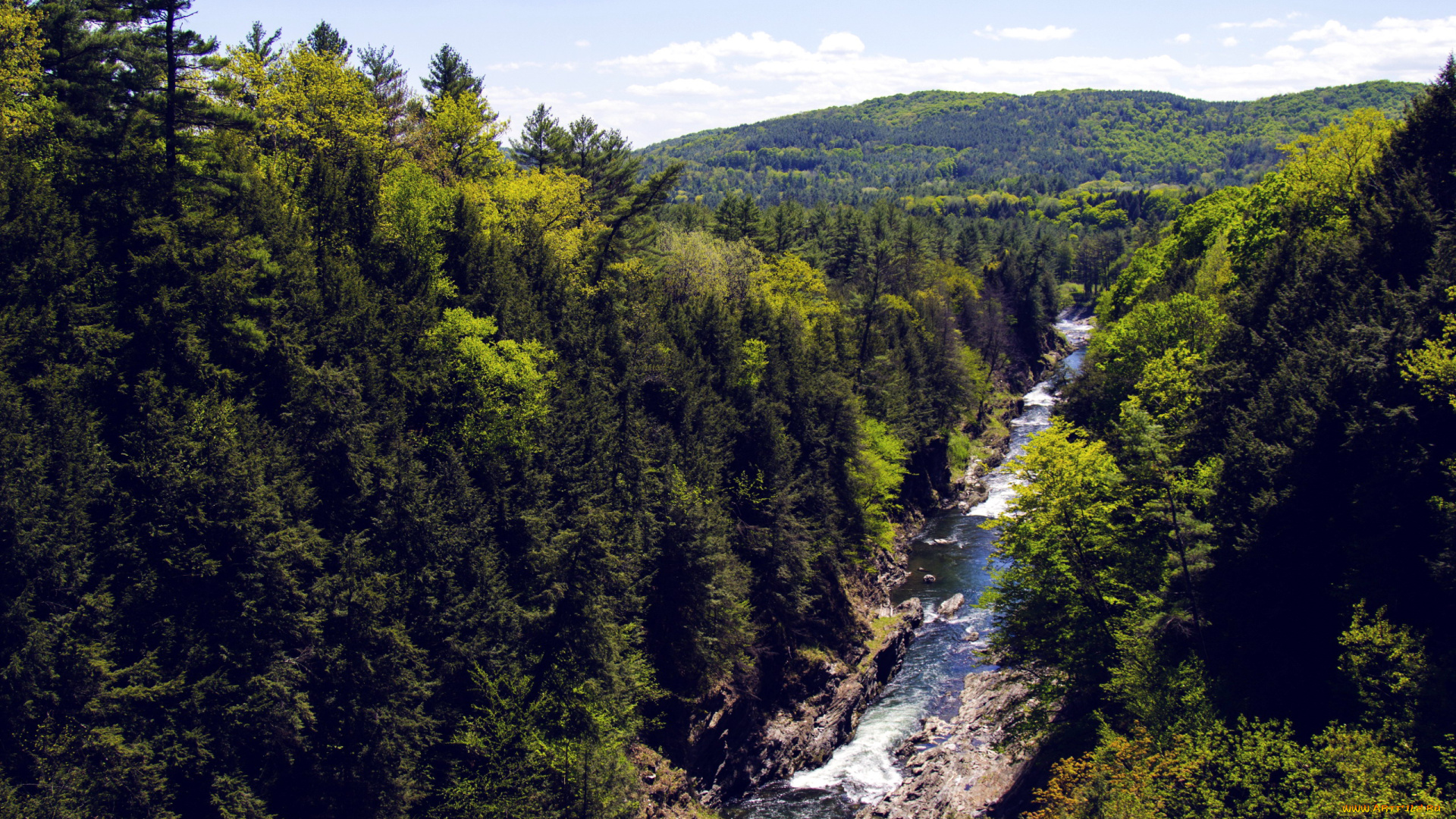 природа, реки, озера, деревья, узкая, горная, горы, река