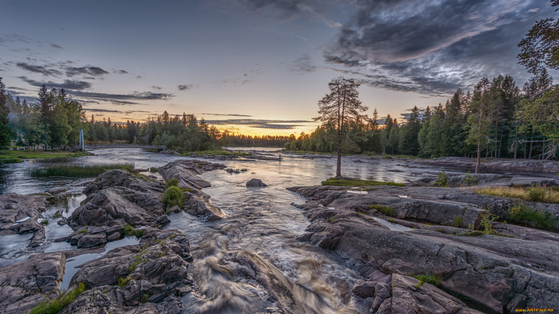 природа, реки, озера, река, лес