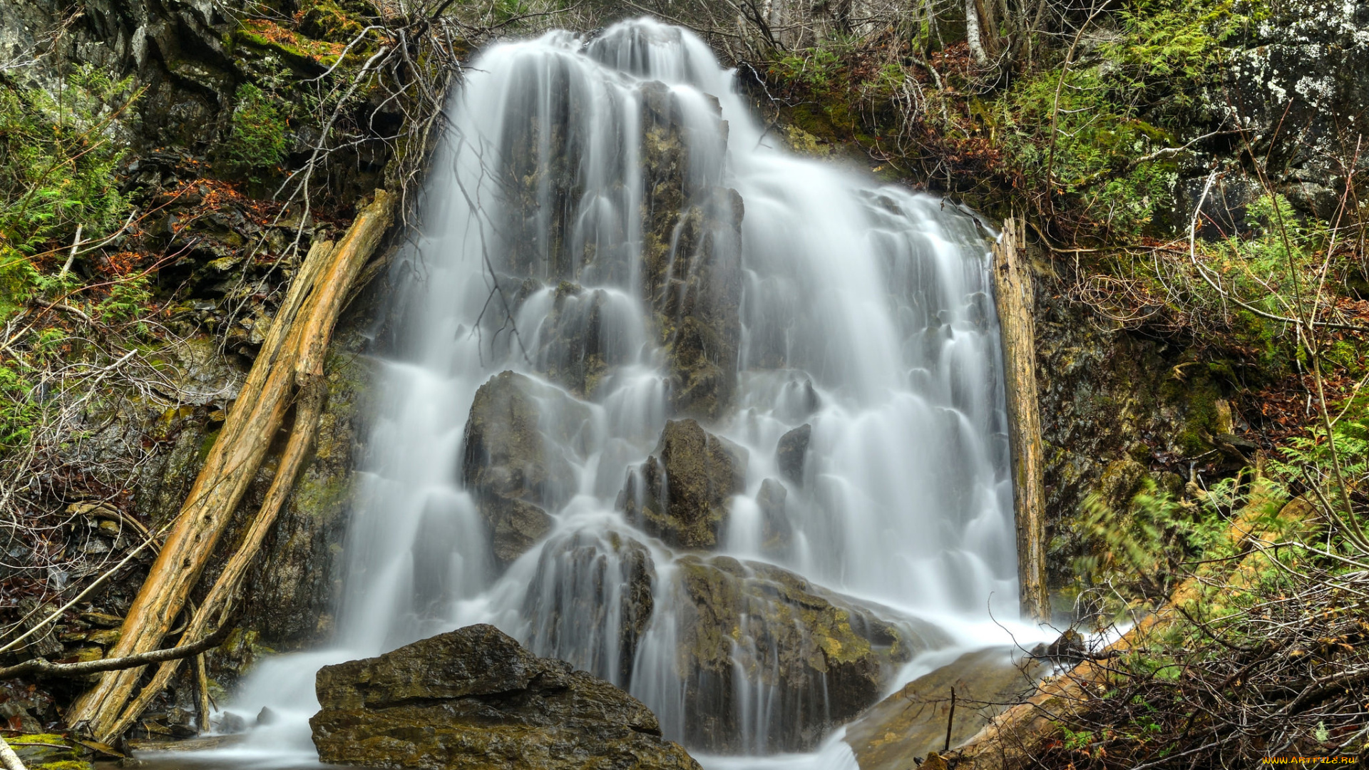 природа, водопады, водопад, река, лес