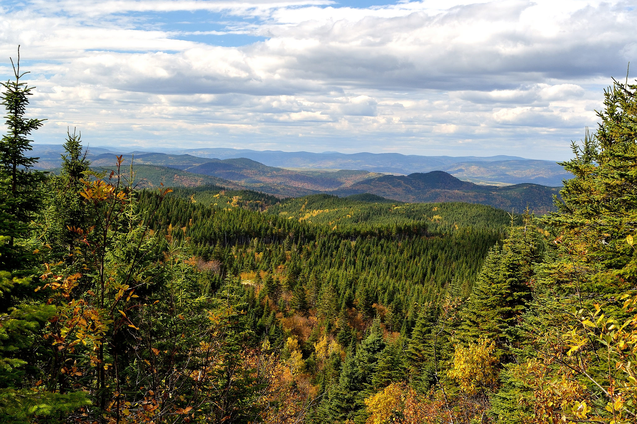 природа, пейзажи, простор