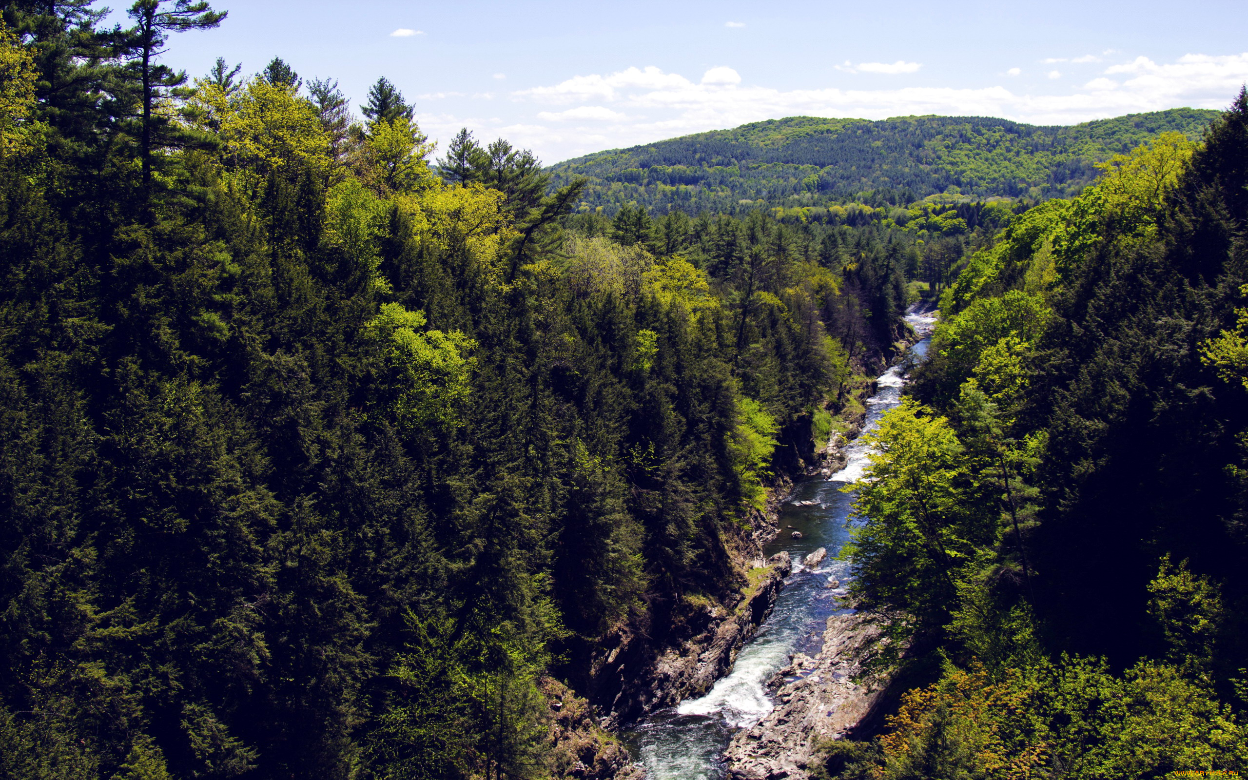 природа, реки, озера, деревья, узкая, горная, горы, река