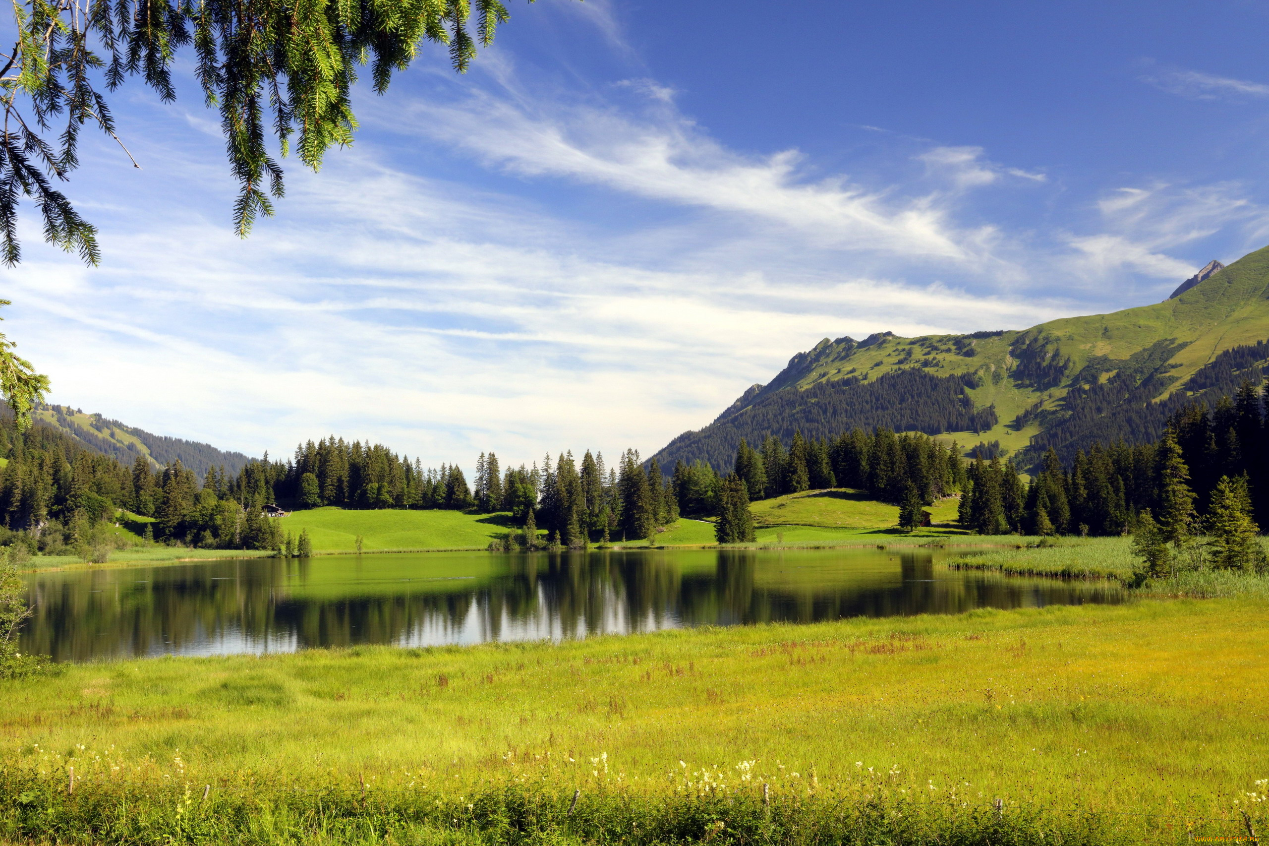 природа, реки, озера, деревья, луг, река, горы