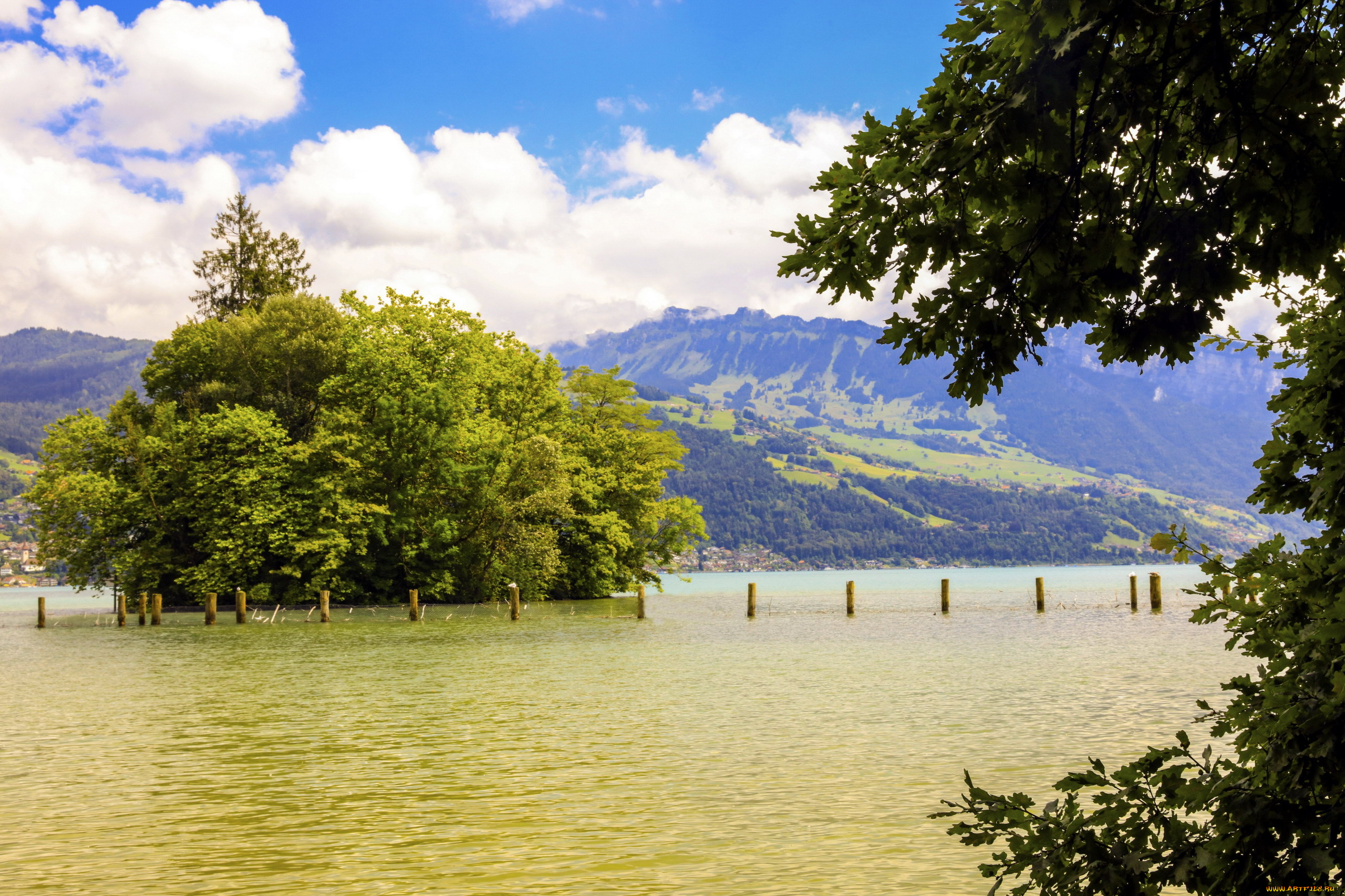 природа, реки, озера, деревья, река, вода, горы