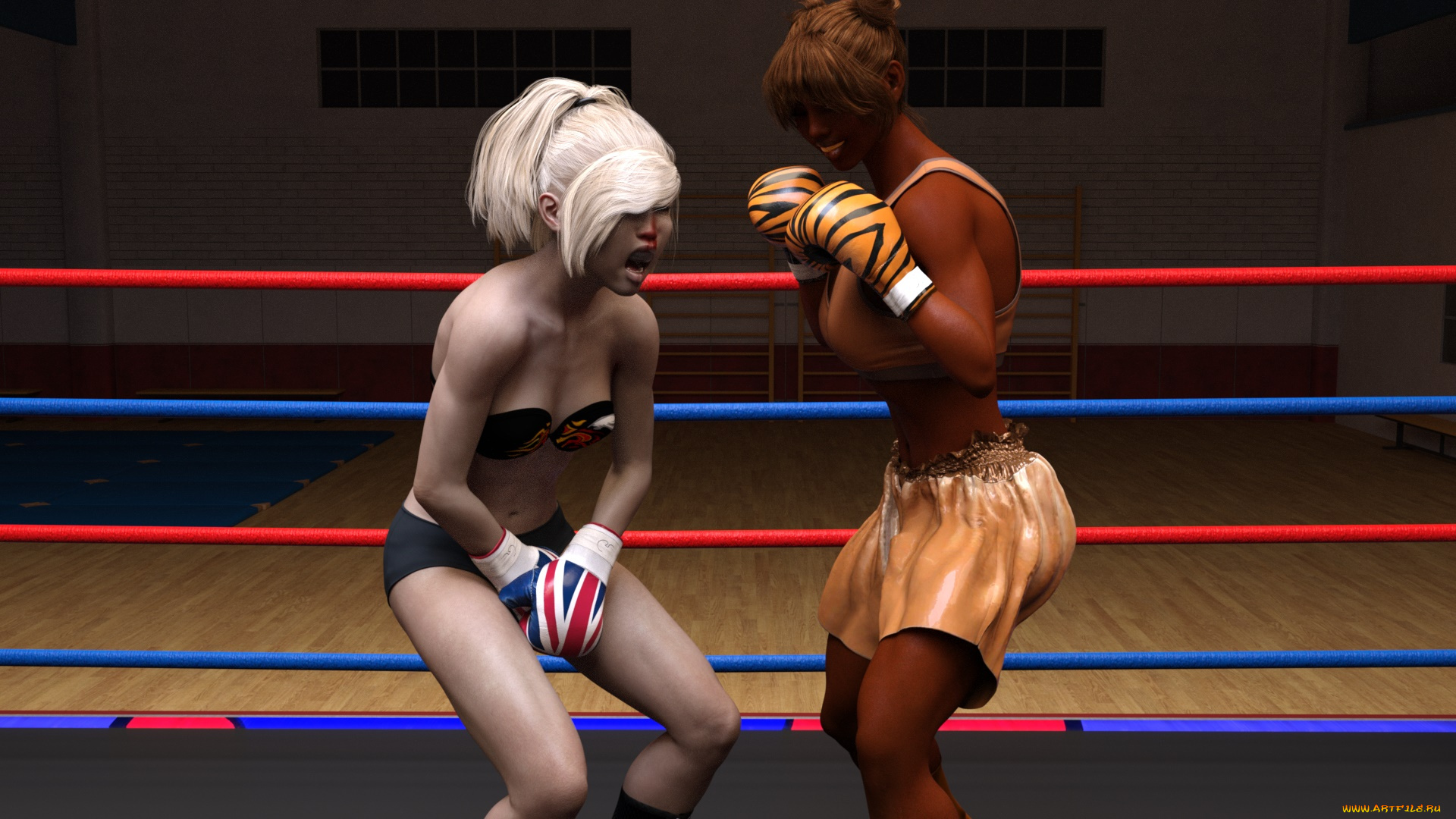 3д, графика, спорт, , sport, бокс, ринг, фон, взгляд, девушки