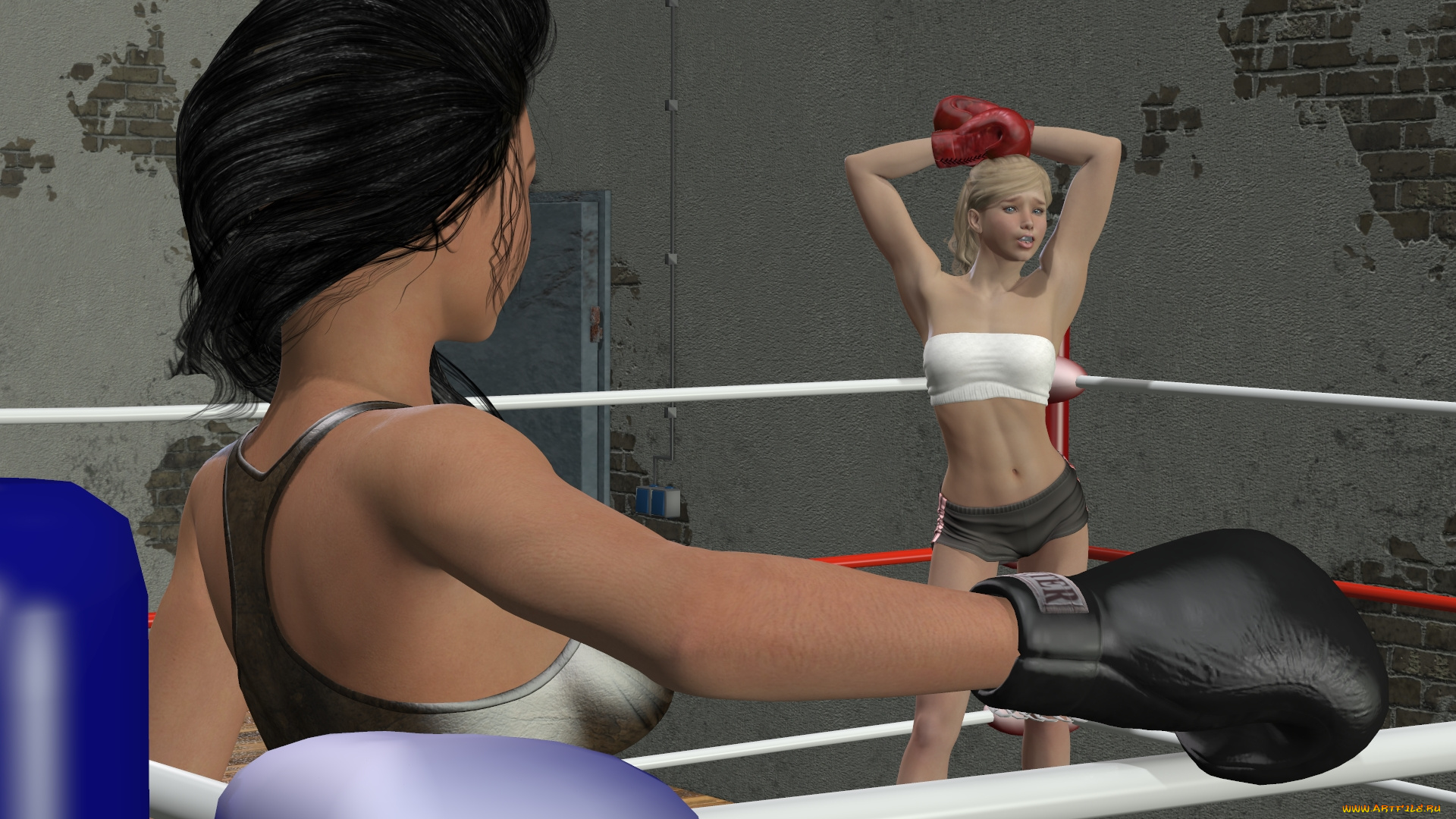 3д, графика, спорт, , sport, фон, взгляд, девушки, бокс, ринг