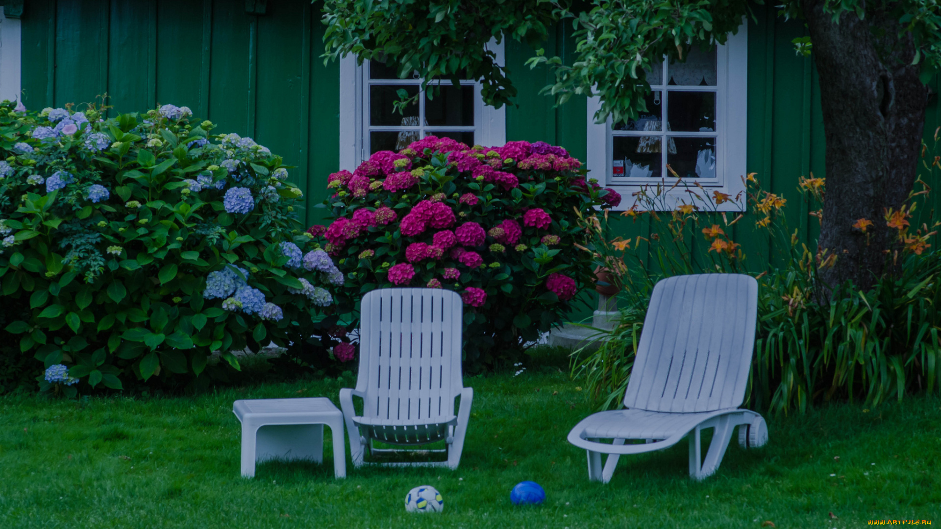 цветы, разные, вместе, сад