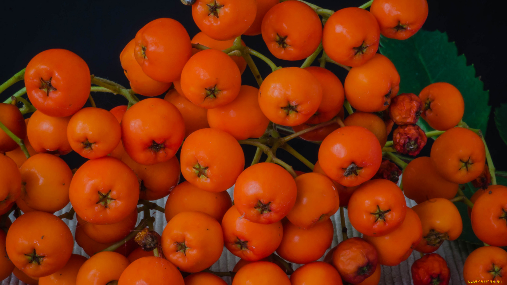 еда, фрукты, , ягоды, ягоды