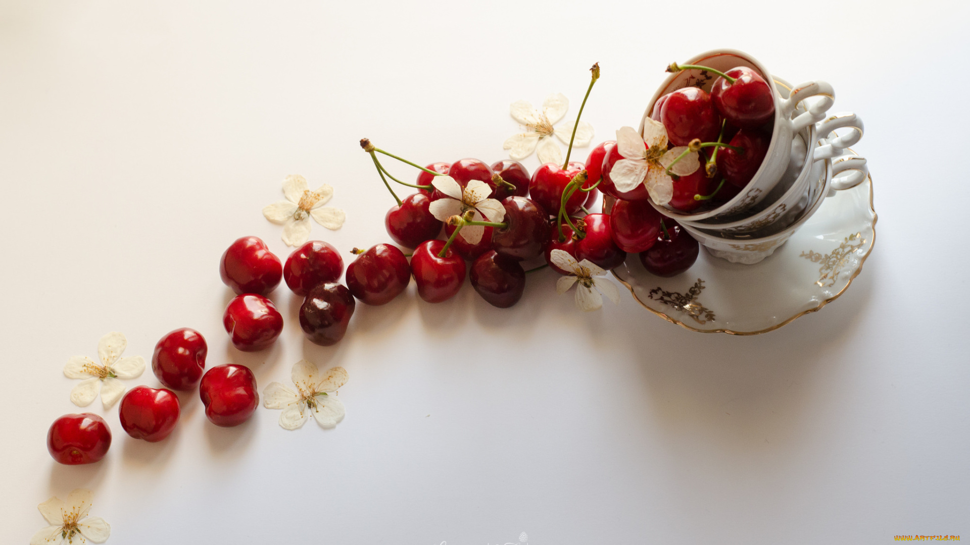 еда, вишня, , черешня, чашка, спелая, ягода, цветы, блюдце