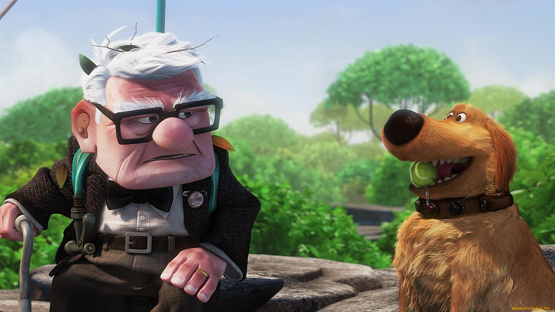 мультфильмы, up, растения, мяч, ошейник, собака, очки, дедушка