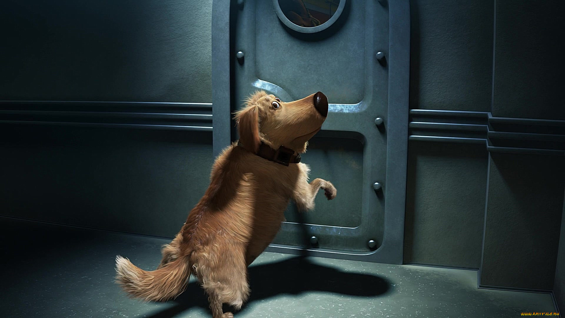 мультфильмы, up, собака, дверь, ошейник