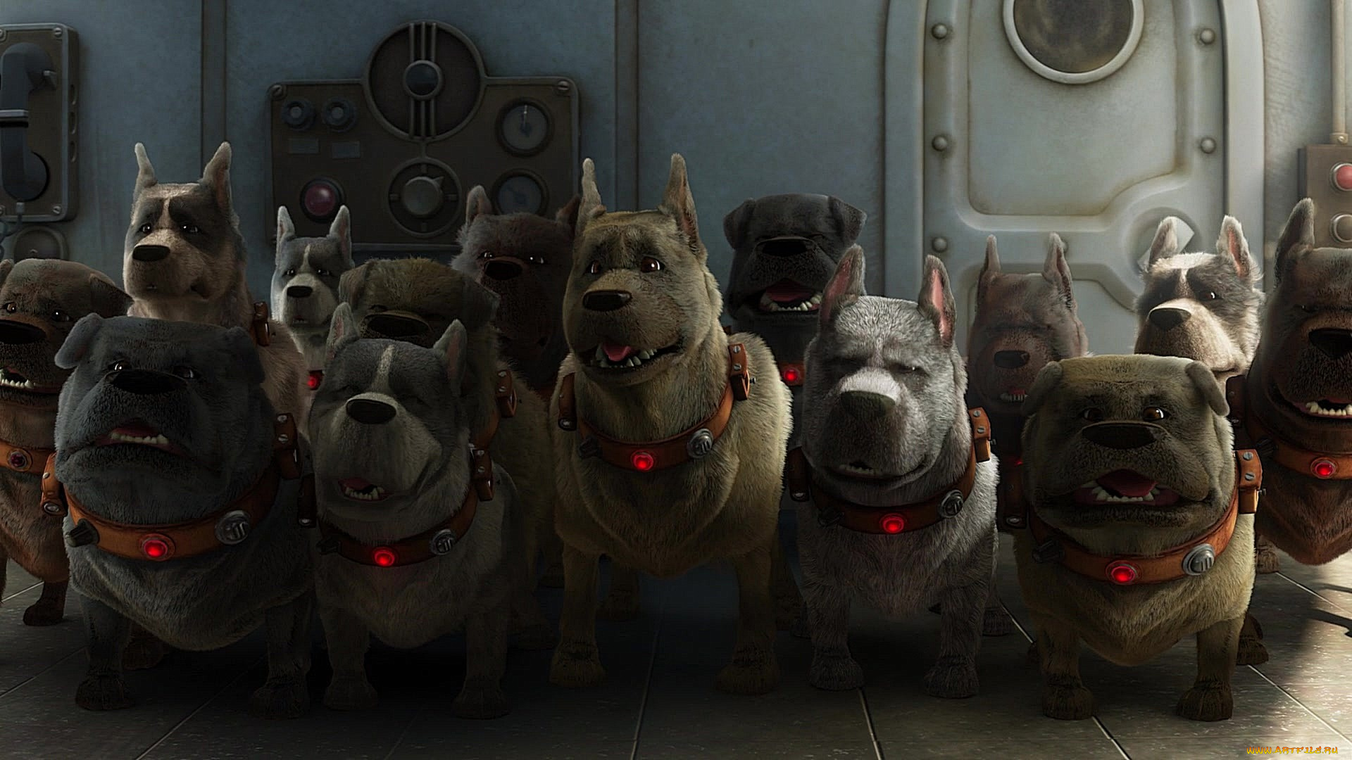 мультфильмы, up, собака, много, ошейник