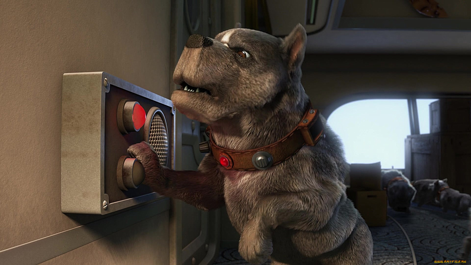 мультфильмы, up, собака, ошейник, передатчик