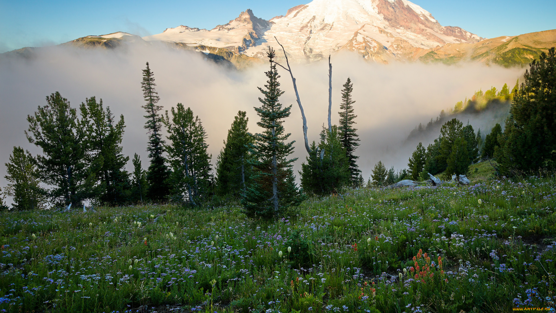 природа, горы