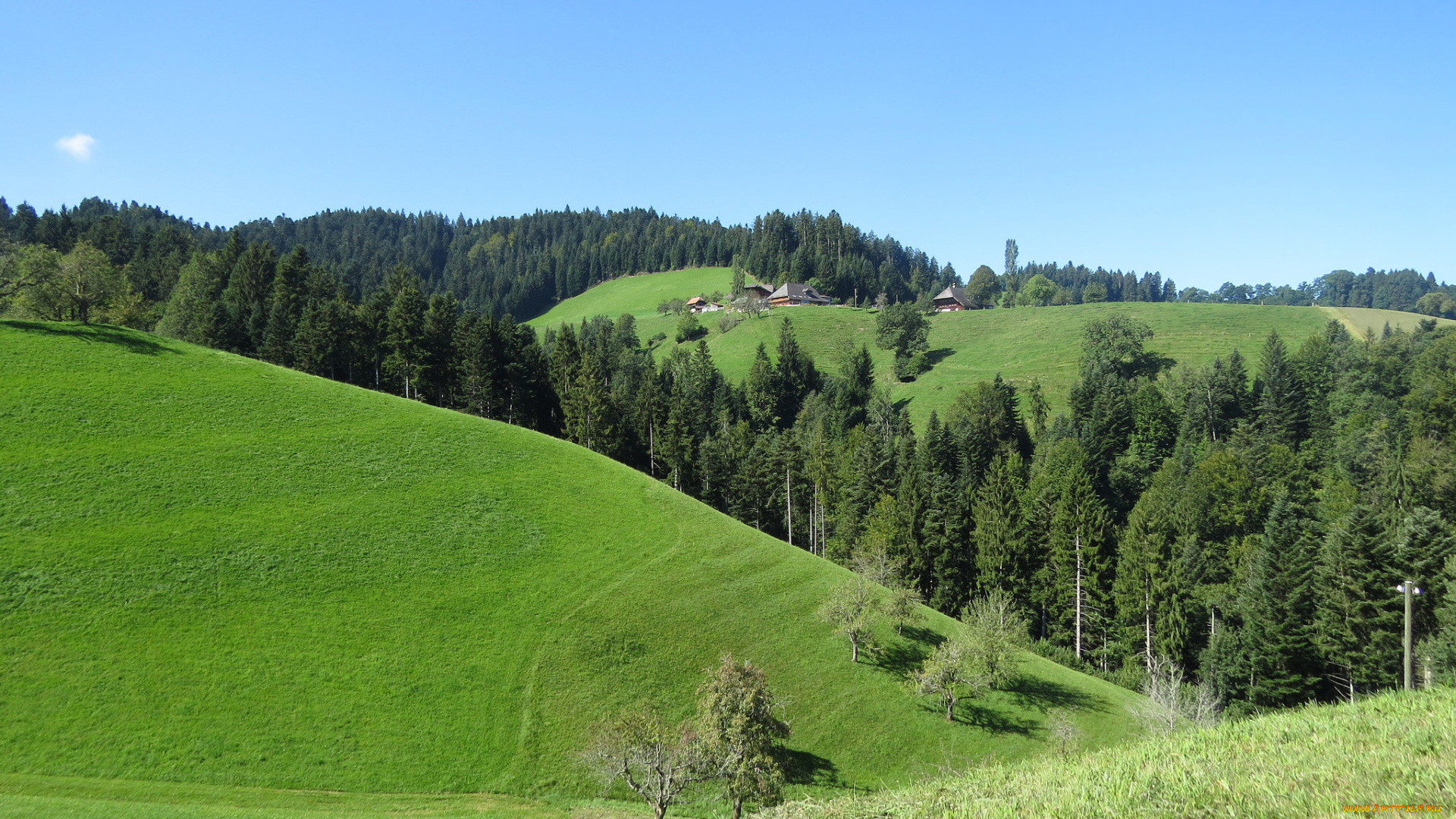 природа, пейзажи, деревья, холмы