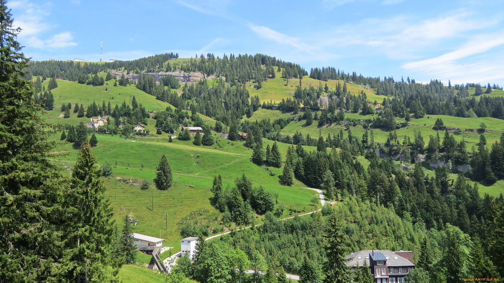 природа, пейзажи, деревья, холмы