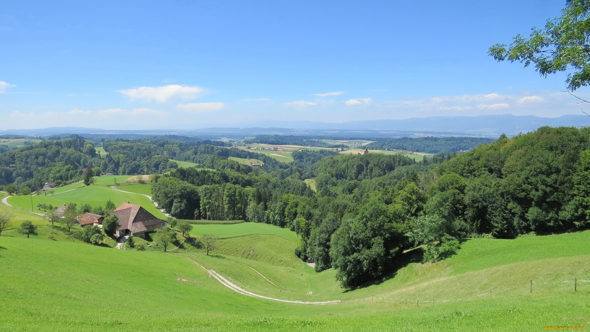 природа, пейзажи, деревья, холмы