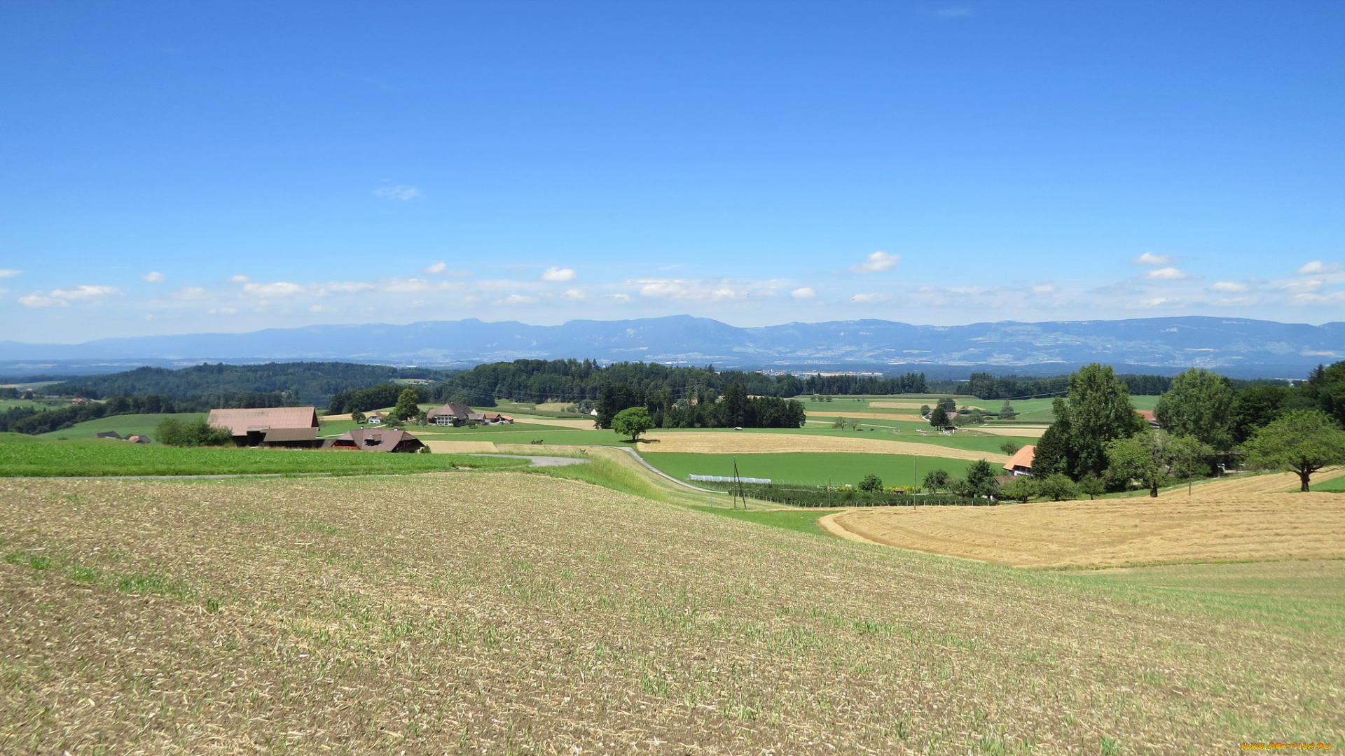 природа, пейзажи, деревья, холмы