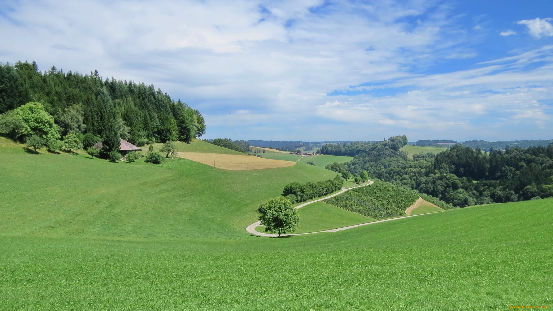 природа, пейзажи, деревья, холмы