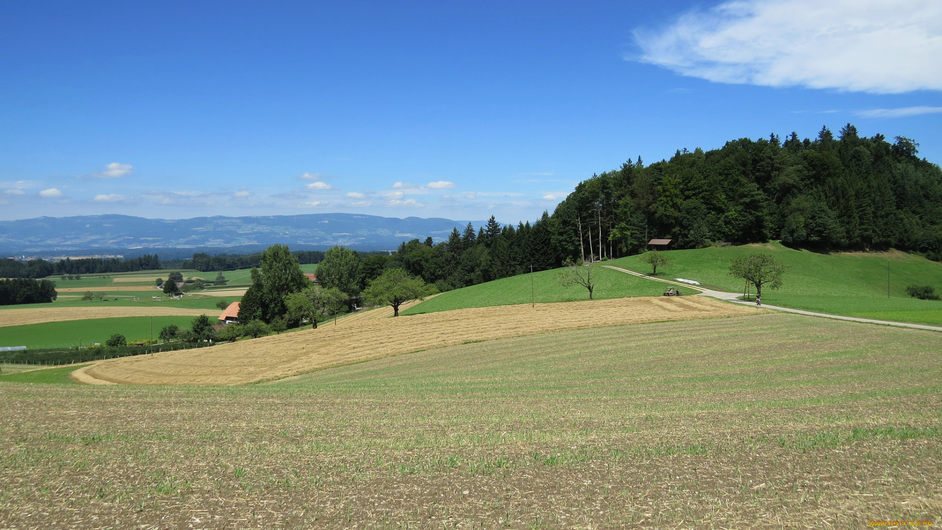 природа, пейзажи, деревья, холмы