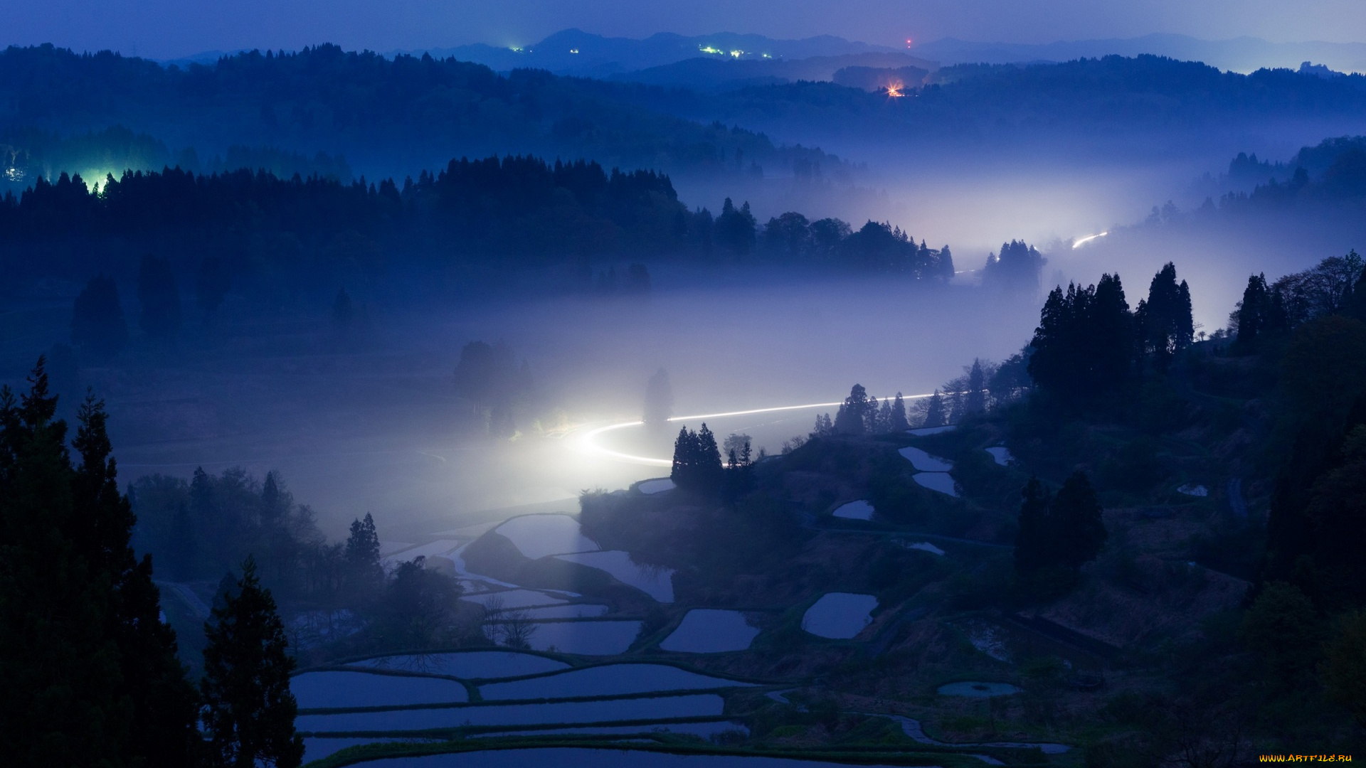 природа, пейзажи, деревья, поле, свет, растения