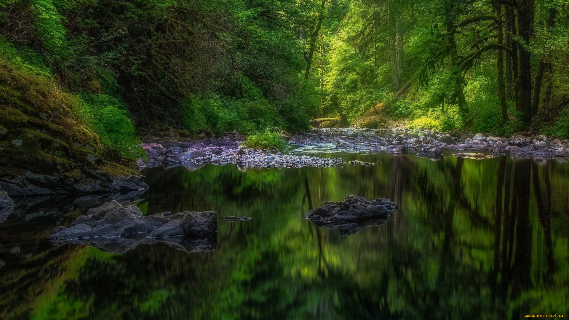 природа, реки, озера, камни, водоём, деревья, лес, пейзаж