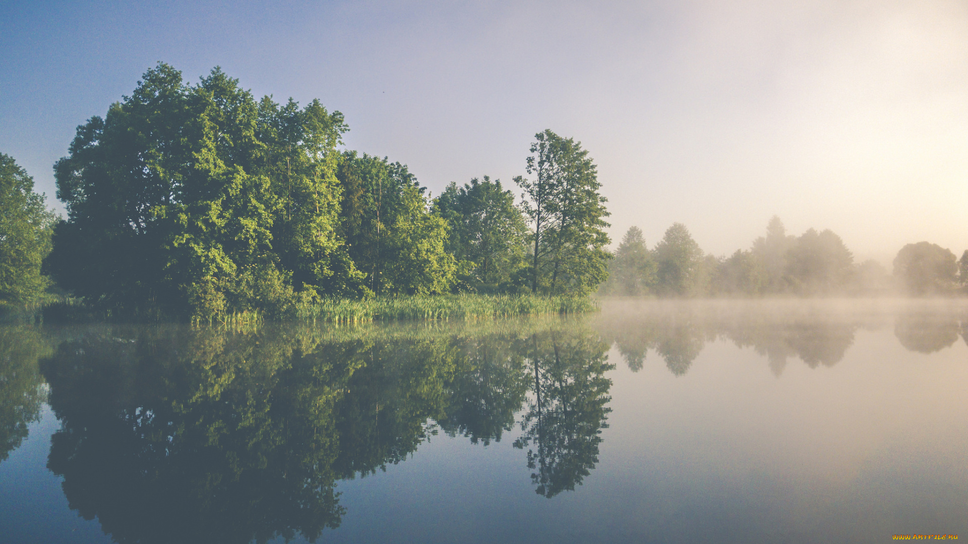 природа, реки, озера, река