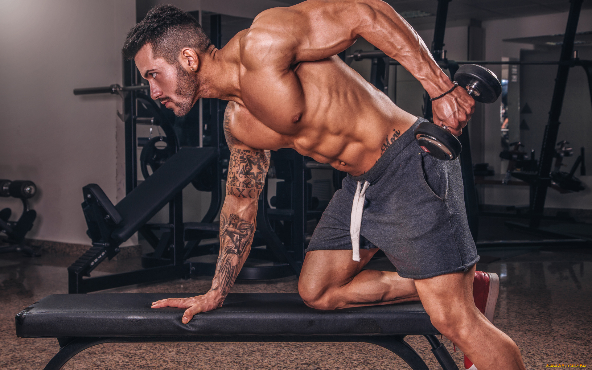 спорт, фитнес, мускулистый, мужчина, занимается, в, спортзале, с, гантелей