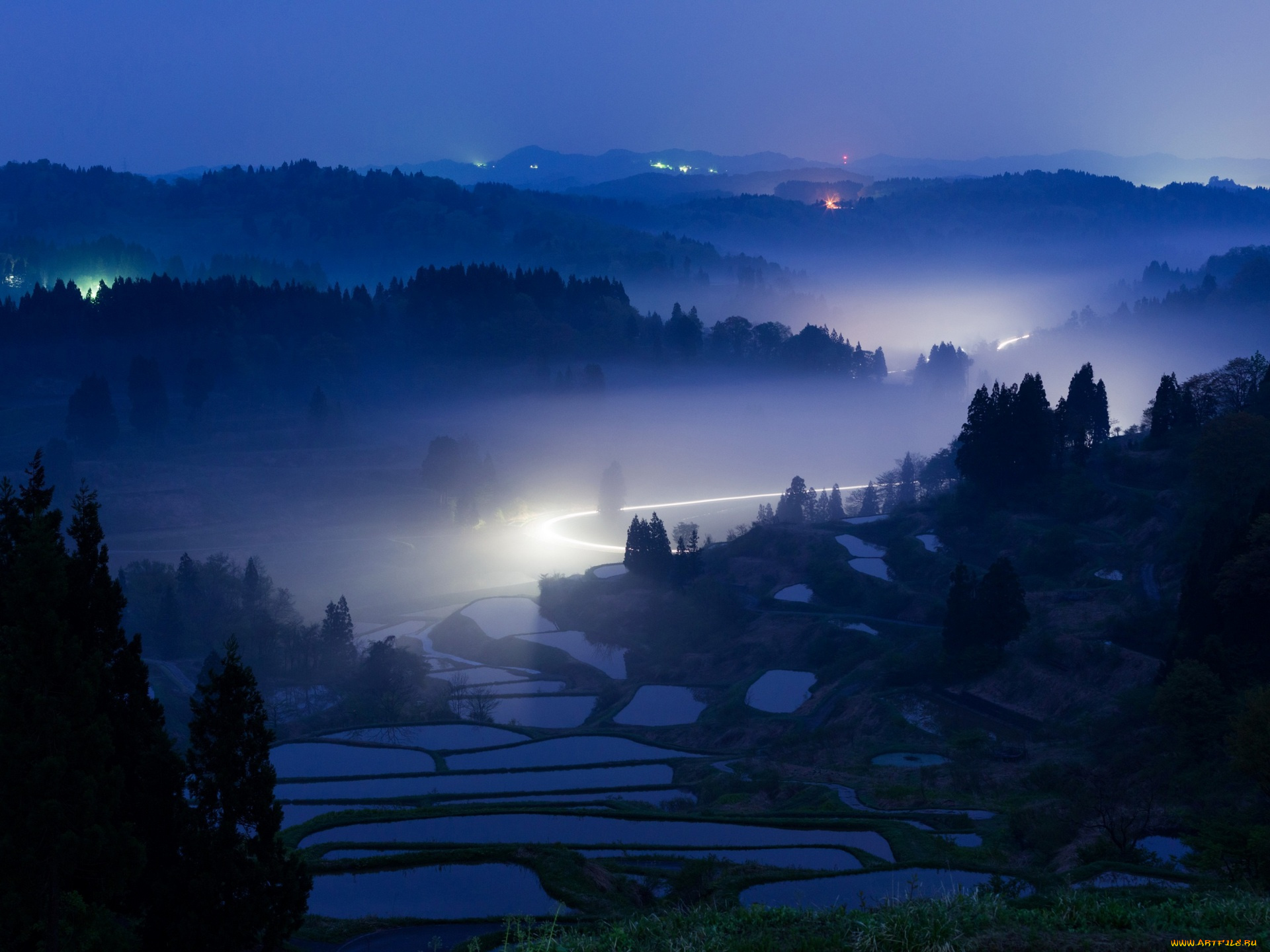 природа, пейзажи, деревья, поле, свет, растения