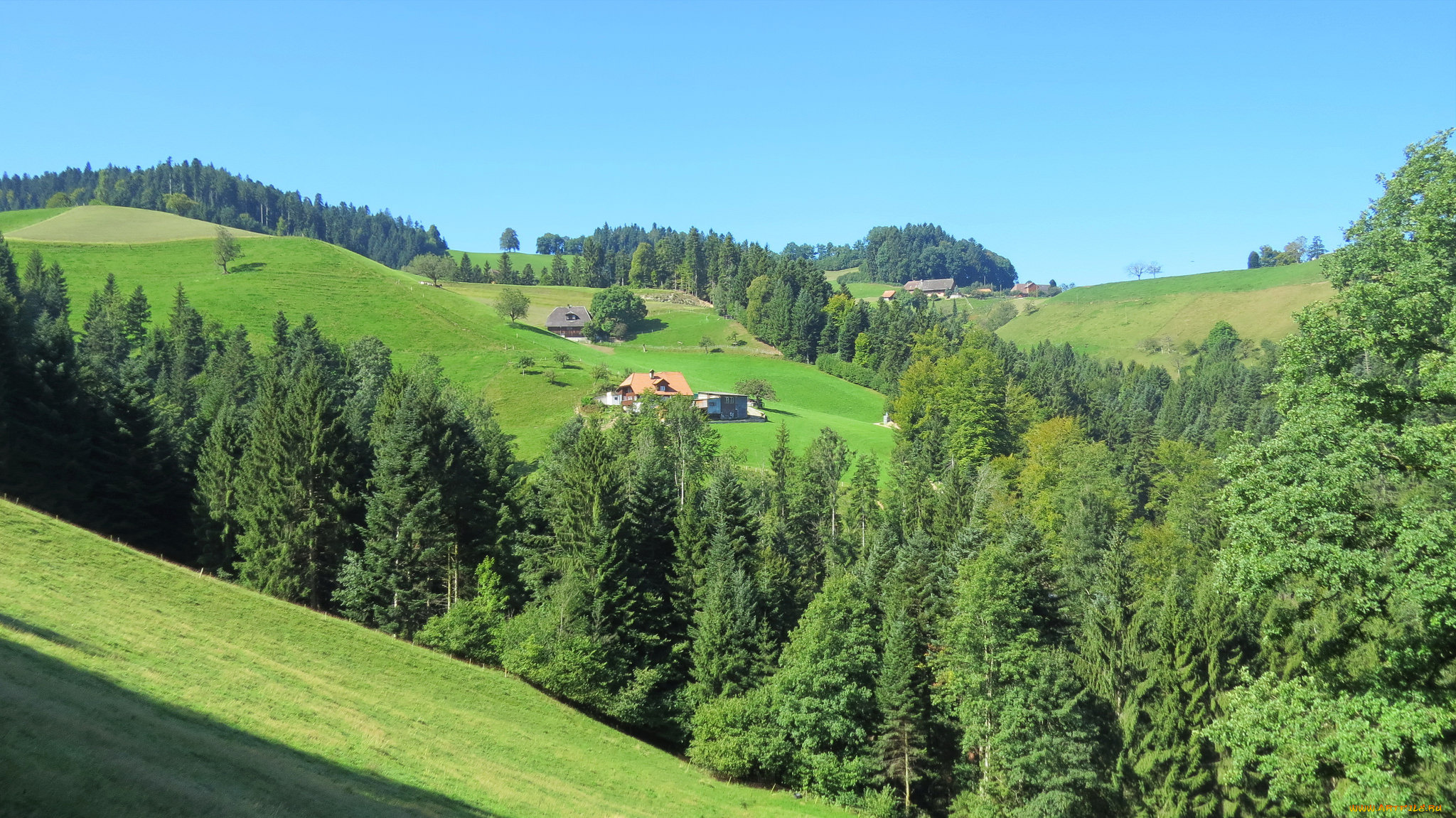 природа, пейзажи, деревья, холмы