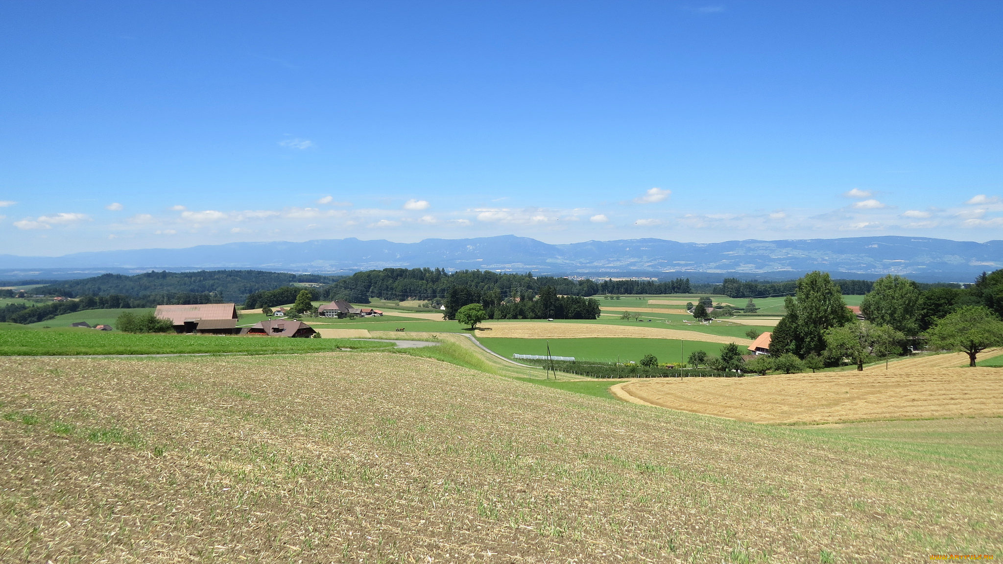 природа, пейзажи, деревья, холмы