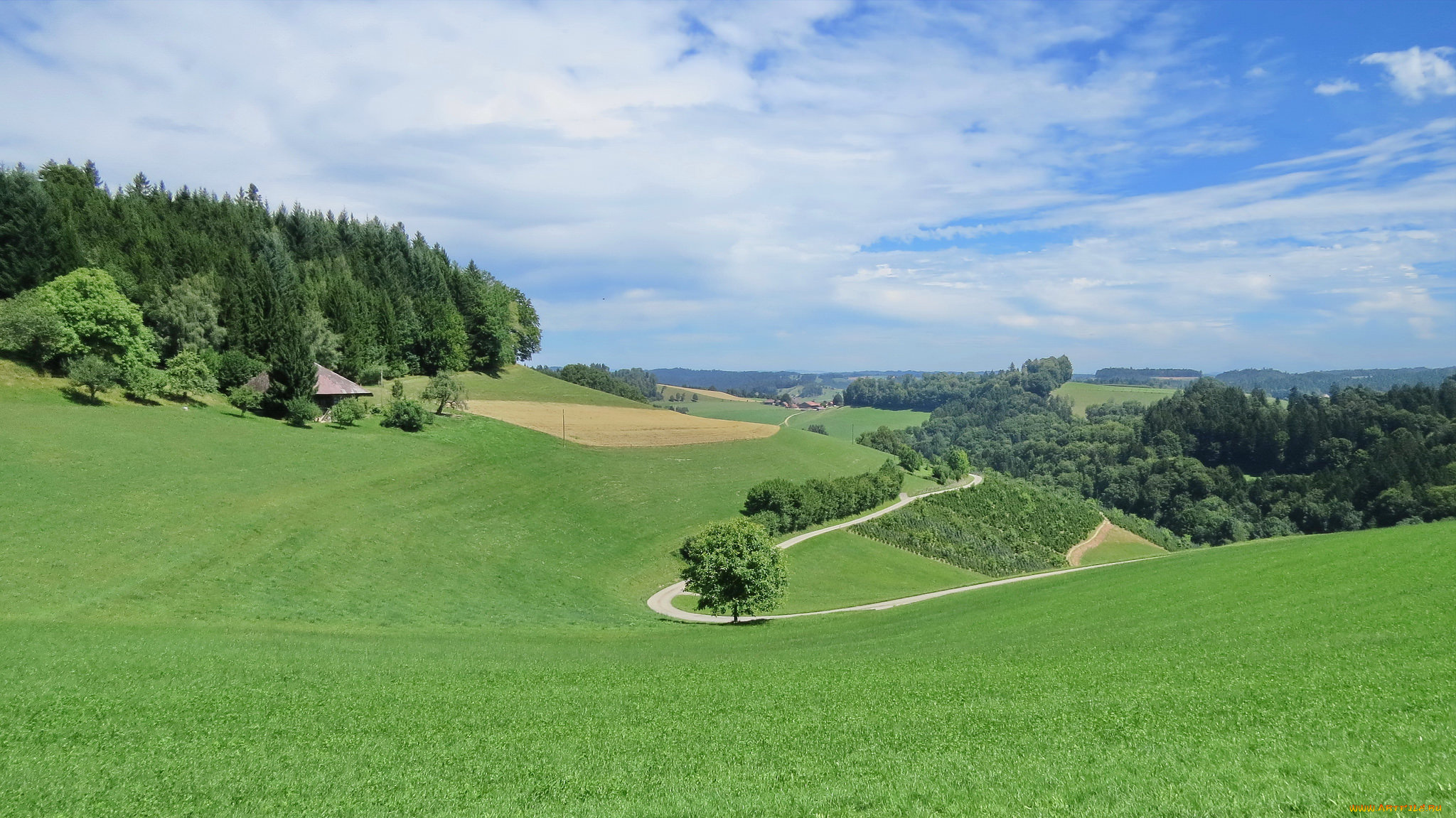 природа, пейзажи, деревья, холмы