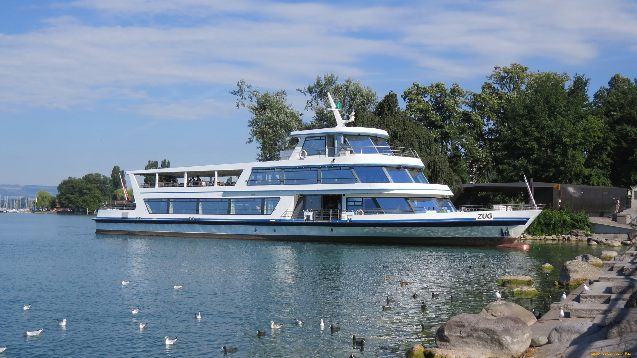 корабли, теплоходы, катер, река