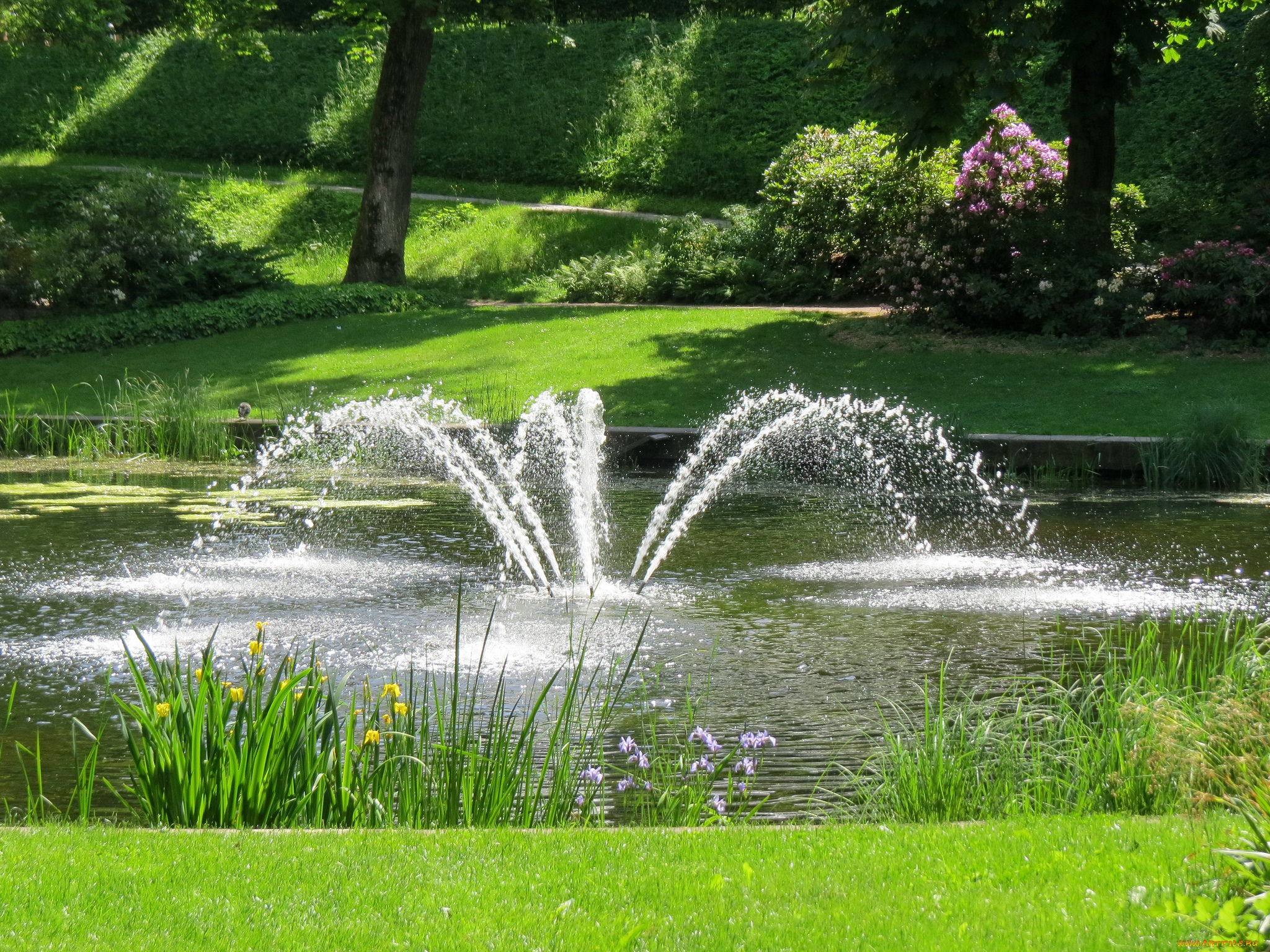 города, -, фонтаны, фонтан