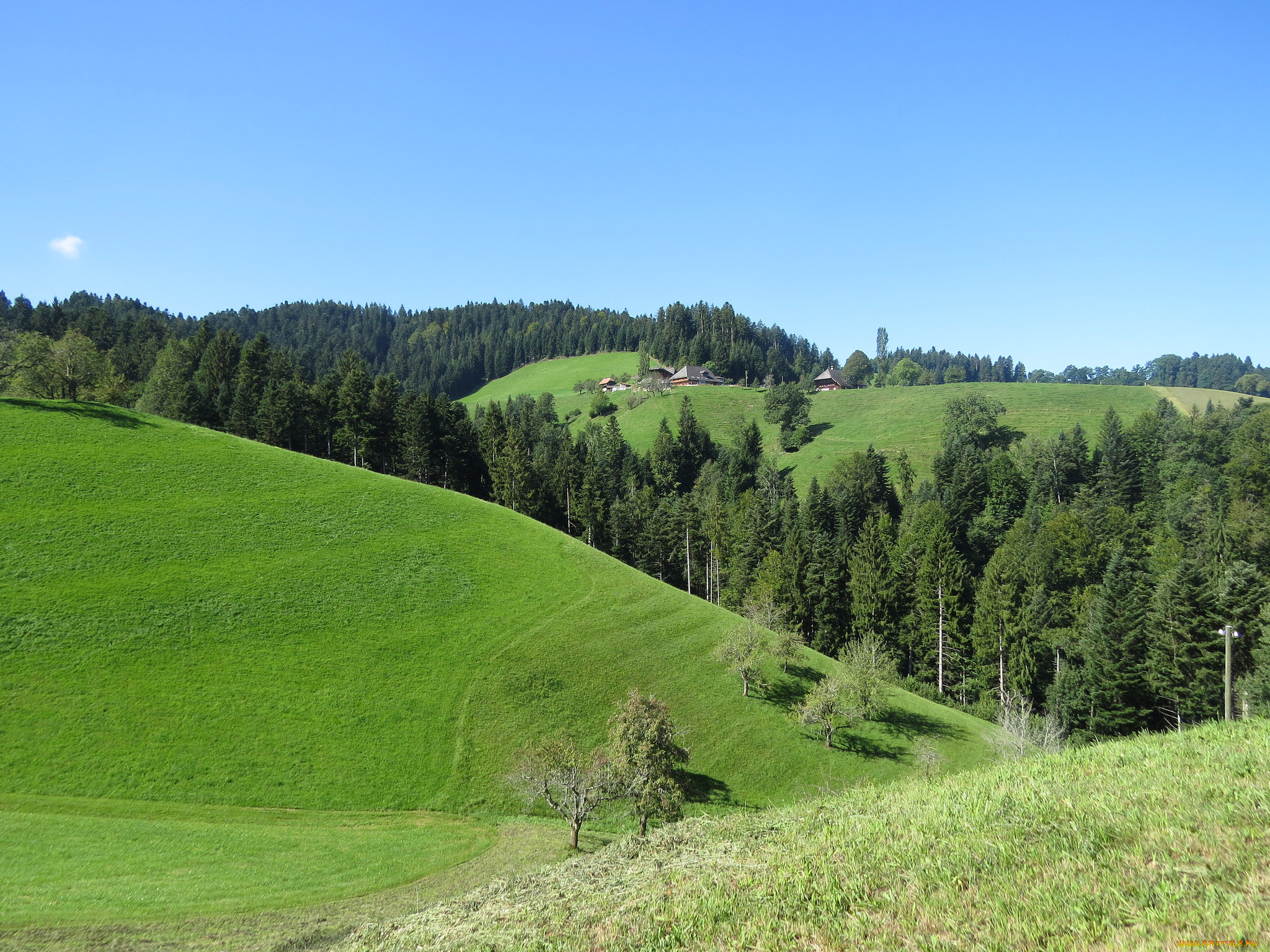 природа, пейзажи, деревья, холмы