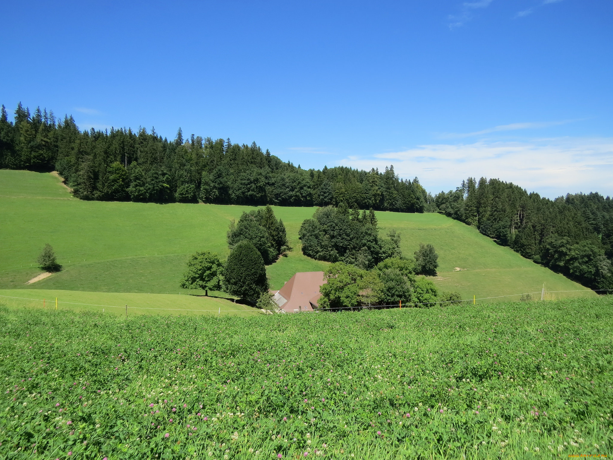 природа, пейзажи, деревья, холмы
